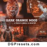 Orange Dark Mood Lightroom Presets Mobile and Desktop Free Download Preview