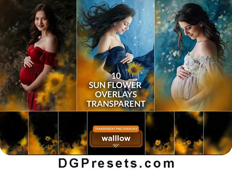 Sunflower Seal on Floral Overlay Transparent PNG Free Download Preview